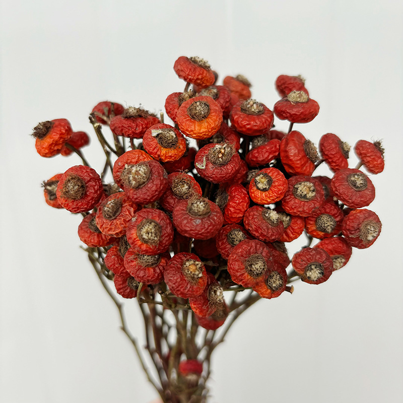 Dried Flower Bouquet - 10 pièces/lot de baies de cynorrhodon