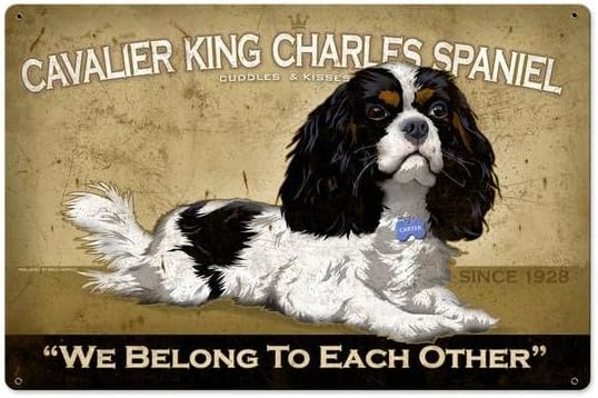 Home Decor Shop - Pancarte en métal rétro Cavalier King