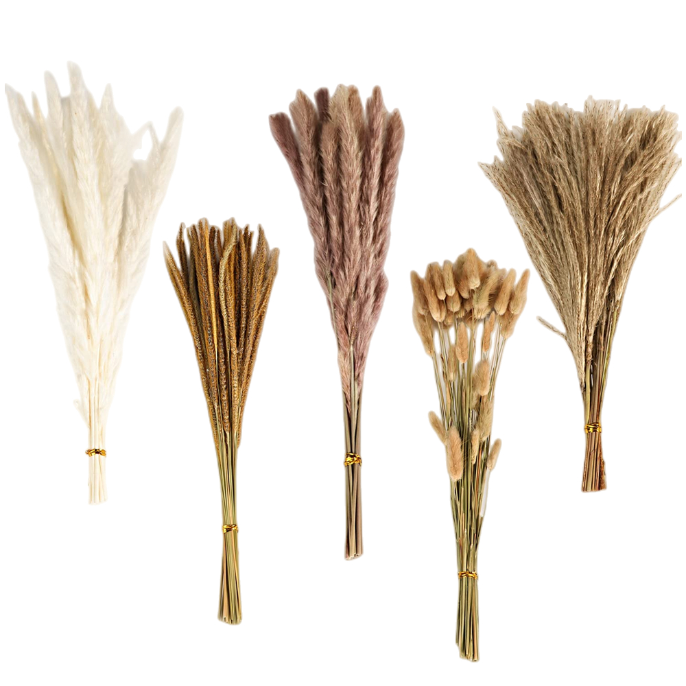 Dried Flower Bouquet - Bouquet de fleurs séchées mélangées vintage