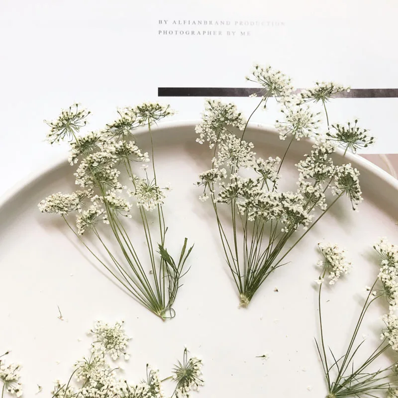 Dried Flower Bouquet - 5-7 cm/12 pièces, petites fleurs de