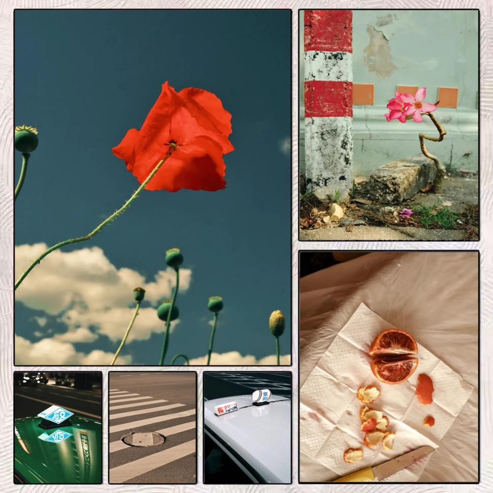 Home Decor Japandi Style - Style Japandi, peinture « An Ordinary