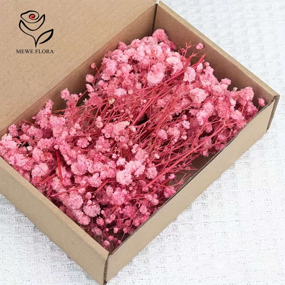 Dried Flower Bouquet - Fleurs séchées pour bébé, 100 petites