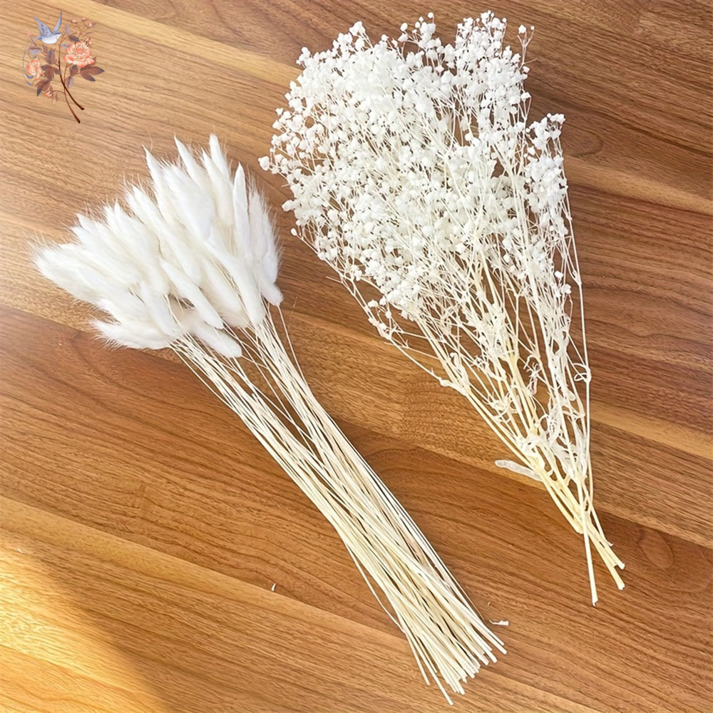 Bouquet de Mariage de mariée à - Dried Flower Bouquet avis et prix