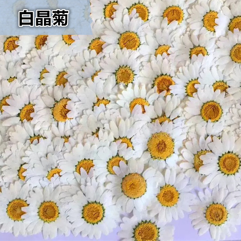 100 pièces de spécimens de pla - Dried Flower Bouquet avis et prix