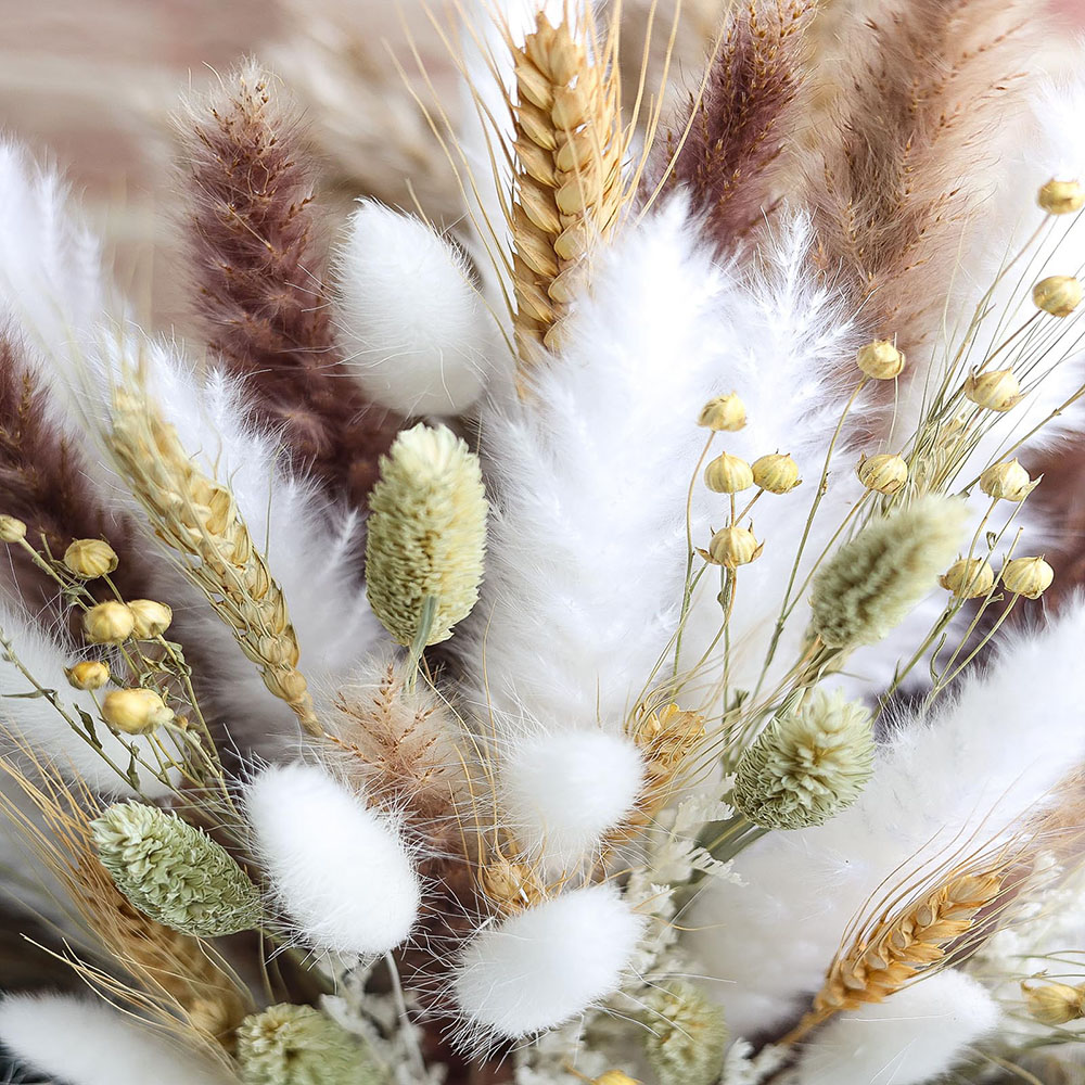 Bouquet d'herbe de Pampa séché - Dried Flower Bouquet avis et prix