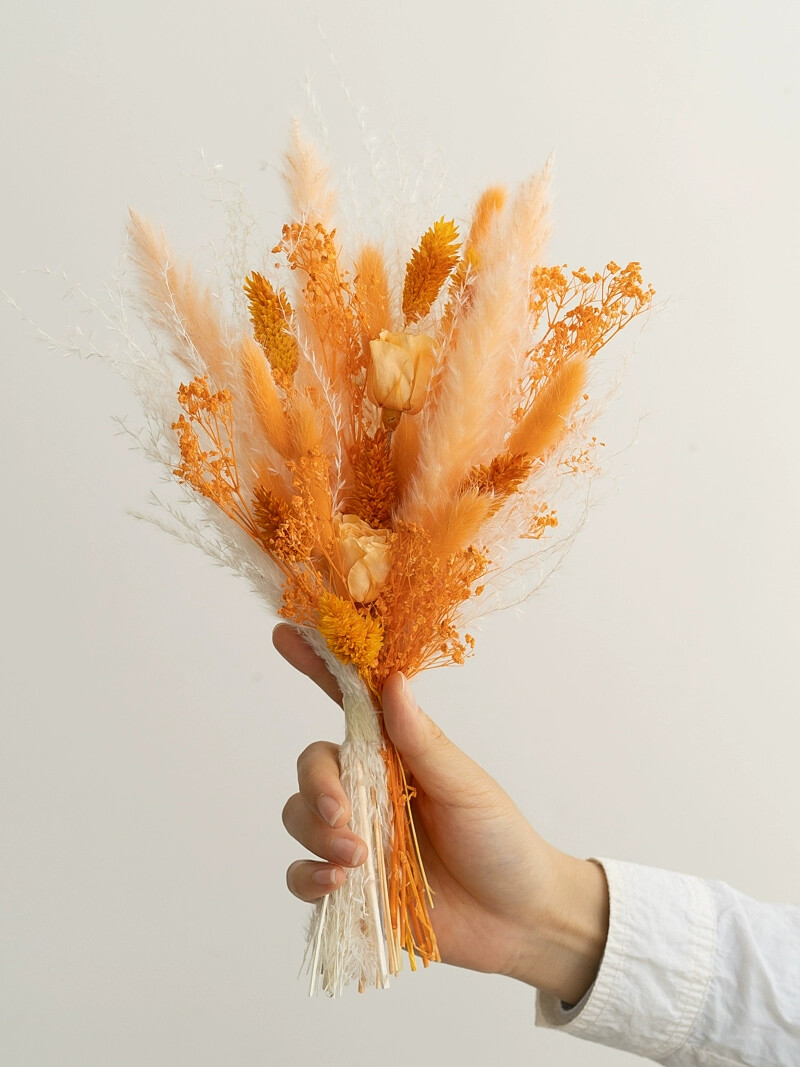 Queue de lapin Rose conservée, - Dried Flower Bouquet avis et prix