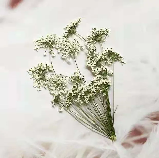 5-7 cm/12 pièces, petites fleu - Dried Flower Bouquet avis et prix