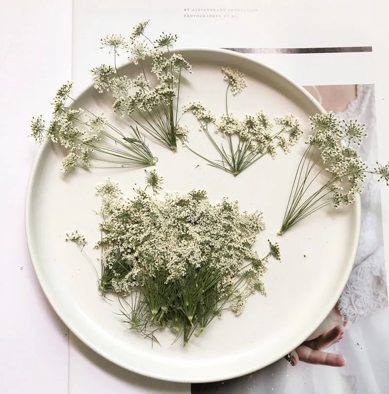5-7 cm/12 pièces, petites fleu - Dried Flower Bouquet avis et prix