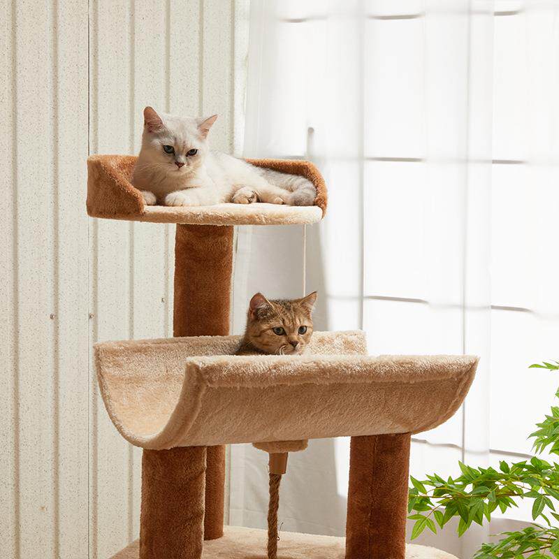 Stairs Bed Things Luxury Cat T - Home Decor Kota avis et prix