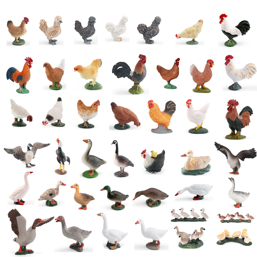 Simulation de ferme volaille,  - Home Decor Duck avis et prix