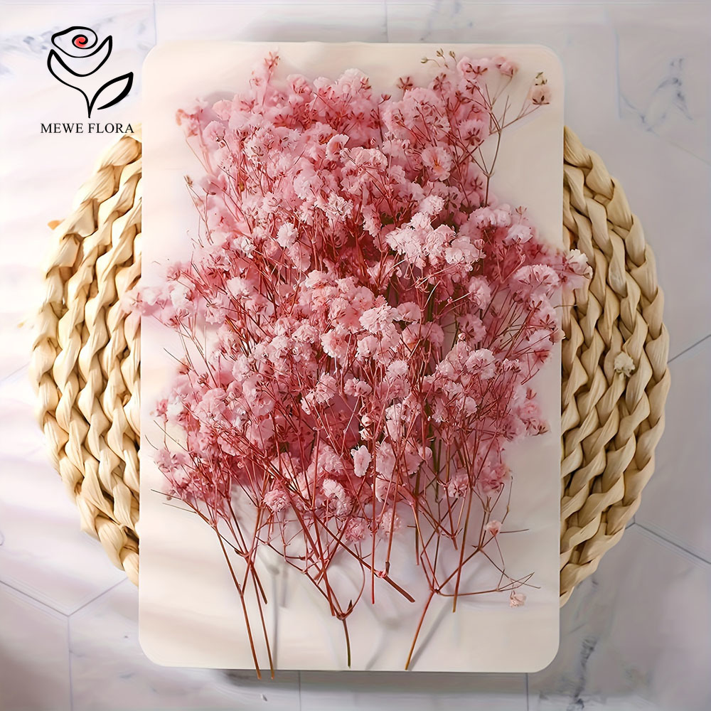 Fleurs séchées pour bébé, 100  - Dried Flower Bouquet avis et prix